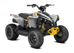 Renegade EFI