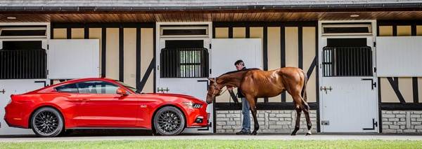 Ford Mustang : la chevauchée sauvage à travers l’Europe.