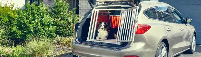 FORD PRÉSENTE EMIL, LE CHIEN QUI AMÉLIORE LA SÉCURITÉ DES ANIMAUX EN VOITURE