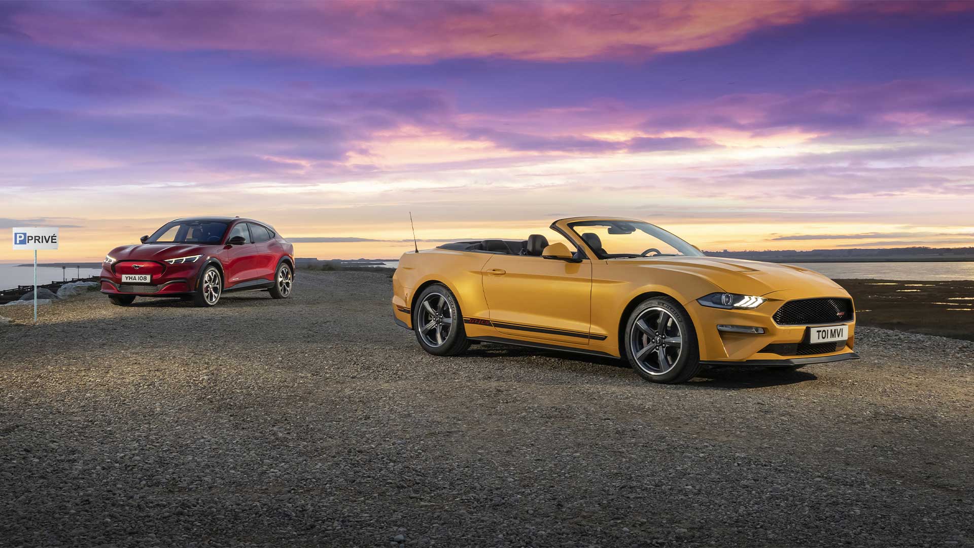 mustang-california Mustang california