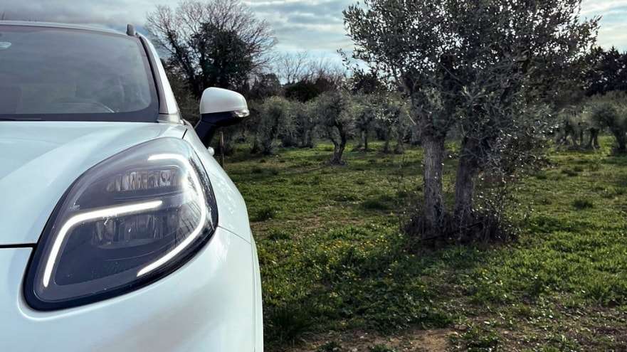 RÉVOLUTION DURABLE : FORD INNOVE AVEC DES FIBRES DE DÉCHETS D’OLIVIERS