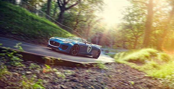 Jaguar Project 7 (8)