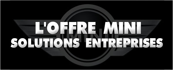 Offre entreprise MINI: La MINI Cooper D Countryman 112 ch BVM6 A 362€ TTC*/mois