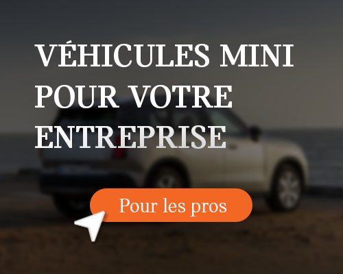 MINI Entreprise