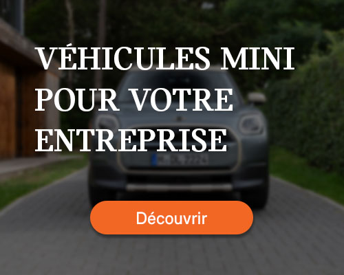 MINI entreprise