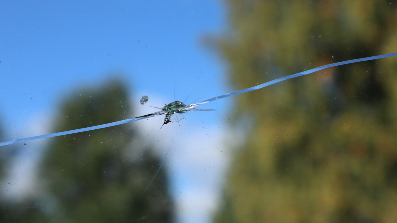 A stone has struck the car's windshield