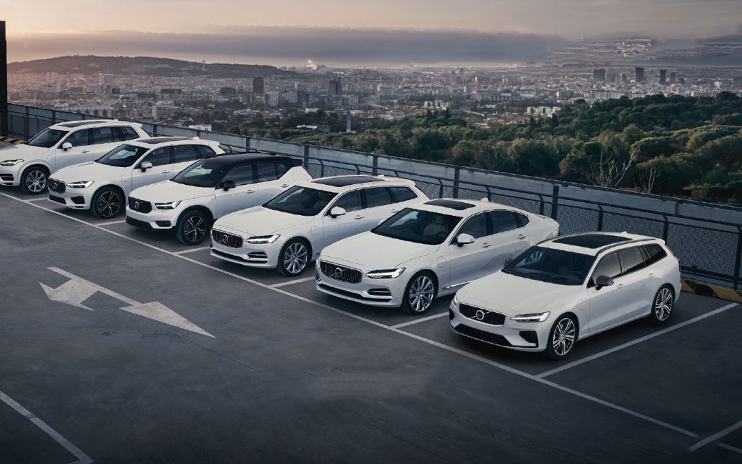 GRIM OCCASION : PLUS DE 300 VÉHICULES EN STOCK