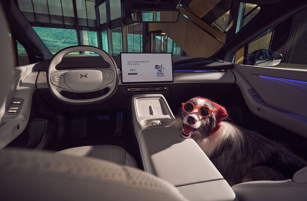 interieur-p7+ interieur-p7+